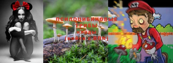 мескалин Богородицк
